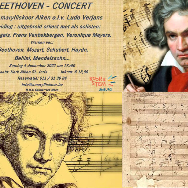 Afbeelding Beethoven-concert